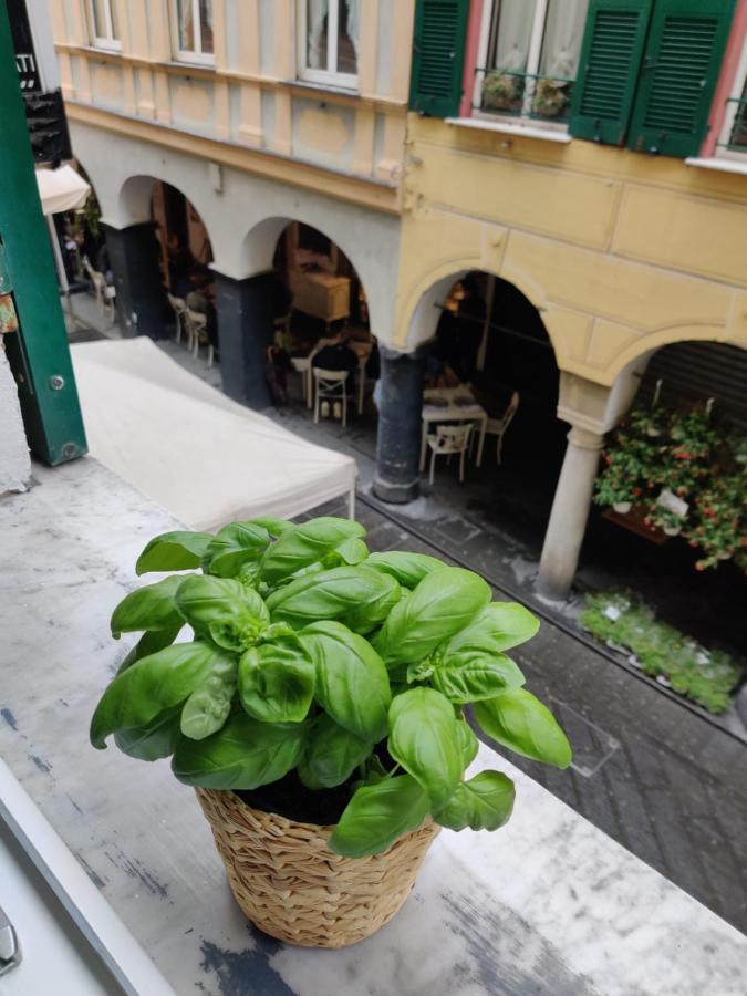 Vista Sul Carruggio, Centro Storico Di 基亚瓦里 外观 照片
